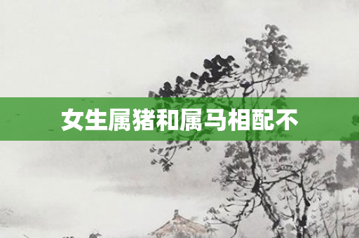 女生属猪和属马相配不