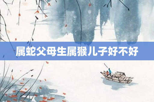 属蛇父母生属猴儿子好不好