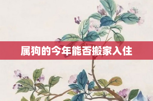 属狗的今年能否搬家入住