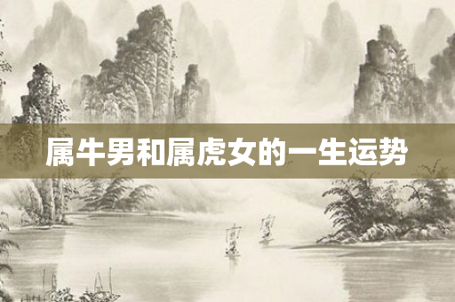 属牛男和属虎女的一生运势