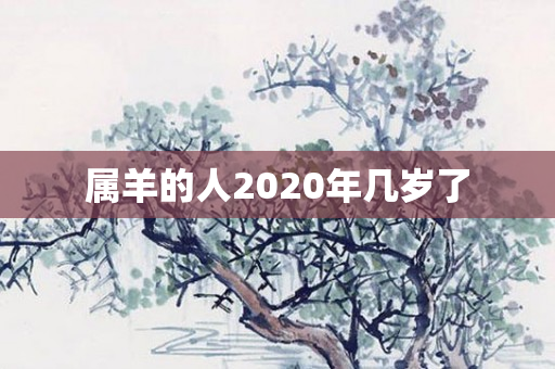 属羊的人2020年几岁了