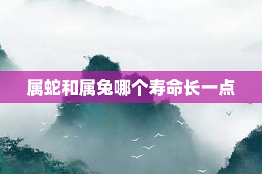 属蛇和属兔哪个寿命长一点