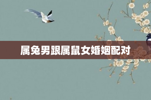 属兔男跟属鼠女婚姻配对