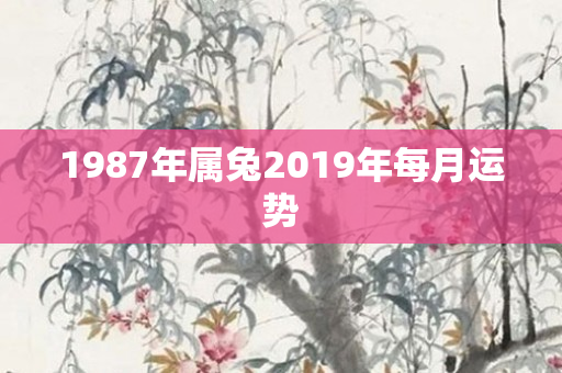 1987年属兔2019年每月运势
