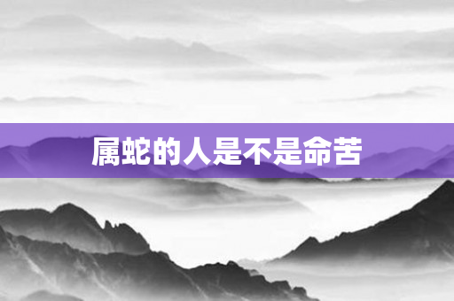 属蛇的人是不是命苦