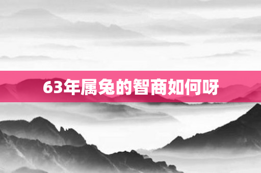 63年属兔的智商如何呀