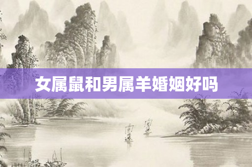 女属鼠和男属羊婚姻好吗