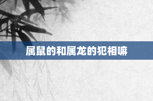 属鼠的和属龙的犯相嘛