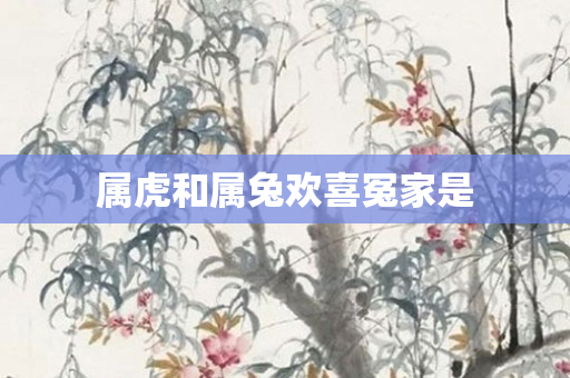 属虎和属兔欢喜冤家是