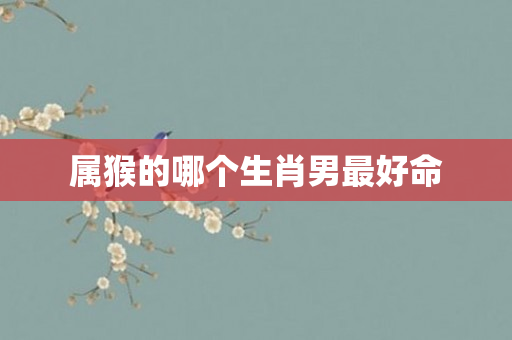 属猴的哪个生肖男更好命