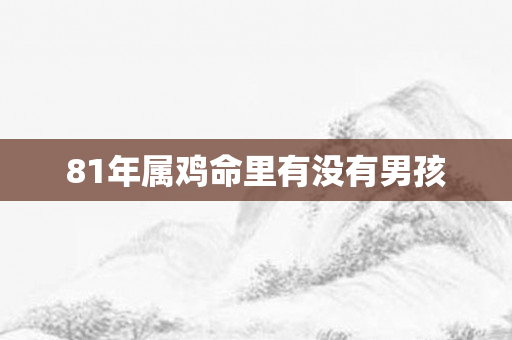 81年属鸡命里有没有男孩