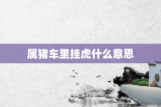 属猪车里挂虎什么意思