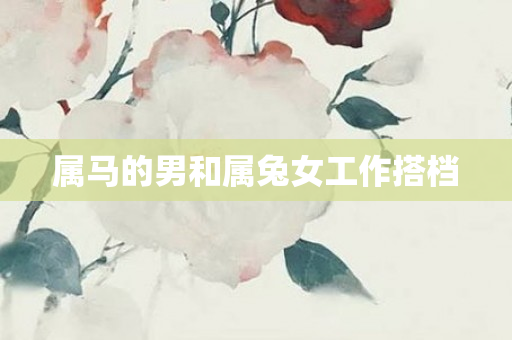 属马的男和属兔女工作搭档