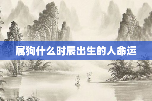 属狗什么时辰出生的人命运
