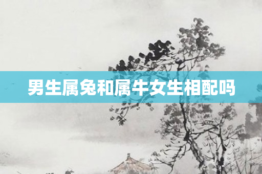 男生属兔和属牛女生相配吗