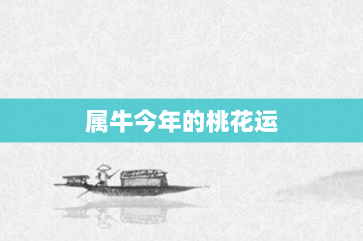 属牛今年的桃花运