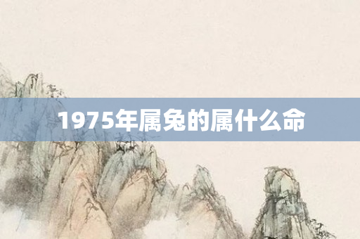 1975年属兔的属什么命