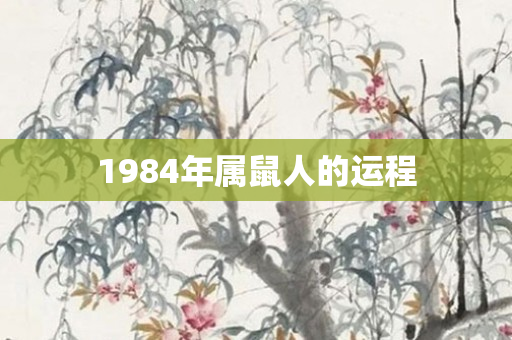 1984年属鼠人的运程