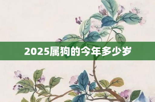 2025属狗的今年多少岁