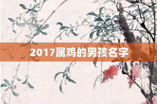 2017属鸡的男孩名字
