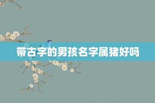 带古字的男孩名字属猪好吗