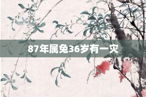 87年属兔36岁有一灾