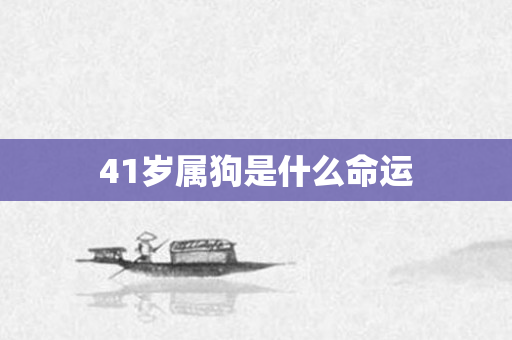 41岁属狗是什么命运