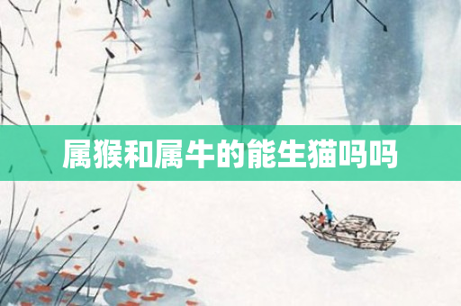 属猴和属牛的能生猫吗吗
