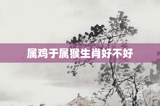 属鸡于属猴生肖好不好