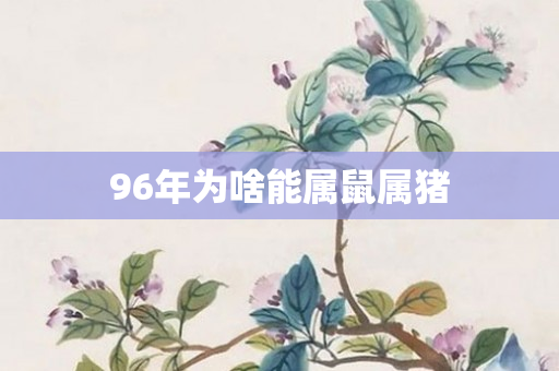 96年为啥能属鼠属猪