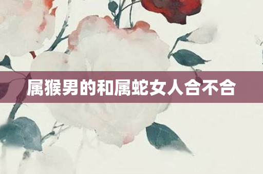 属猴男的和属蛇女人合不合