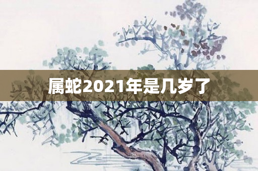 属蛇2021年是几岁了