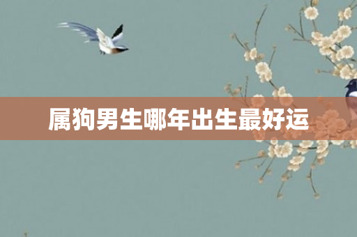 属狗男生哪年出生更好运