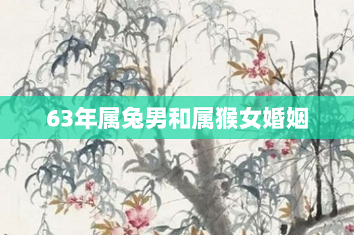 63年属兔男和属猴女婚姻