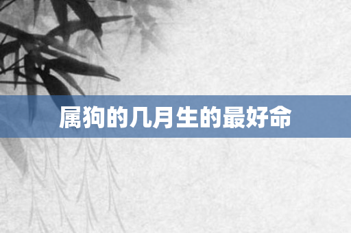 属狗的几月生的更好命