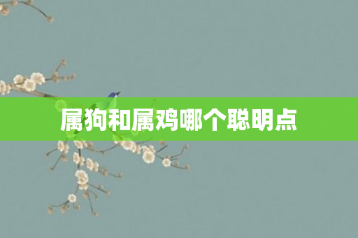 属狗和属鸡哪个聪明点