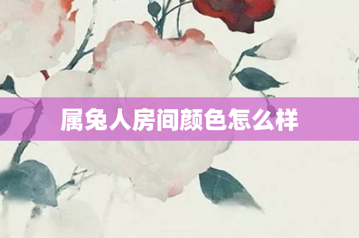 属兔人房间颜色怎么样