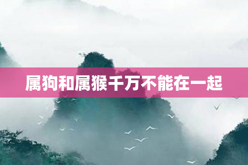 属狗和属猴千万不能在一起