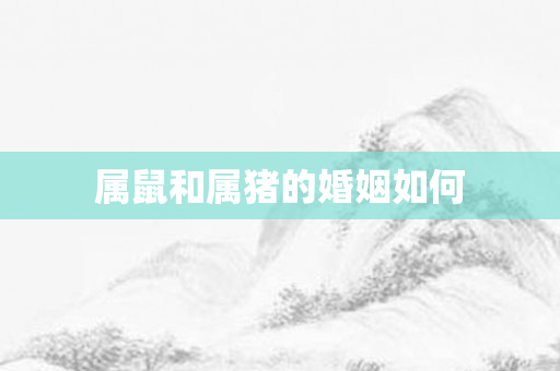 属鼠和属猪的婚姻如何