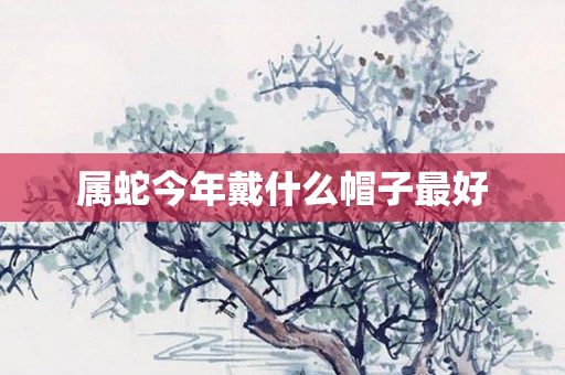 属蛇今年戴什么帽子更好