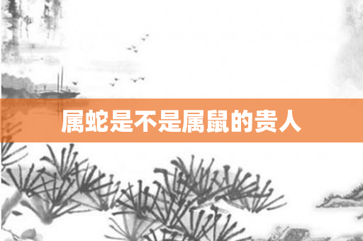 属蛇是不是属鼠的贵人