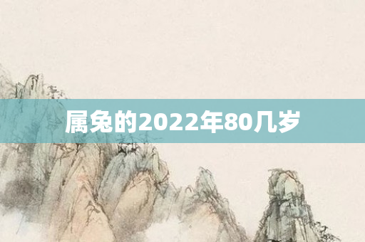 属兔的2022年80几岁