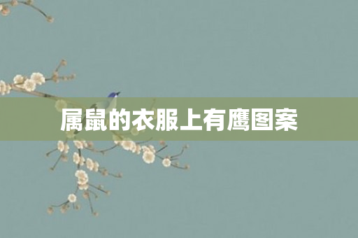 属鼠的衣服上有鹰图案