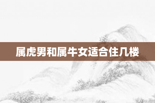 属虎男和属牛女适合住几楼