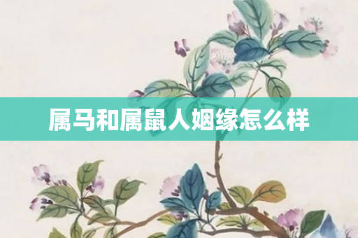 属马和属鼠人姻缘怎么样