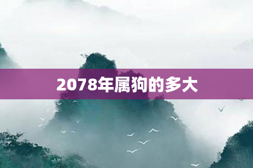 2078年属狗的多大