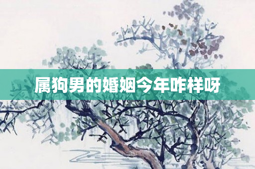 属狗男的婚姻今年咋样呀