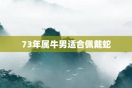 73年属牛男适合佩戴蛇