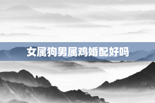 女属狗男属鸡婚配好吗