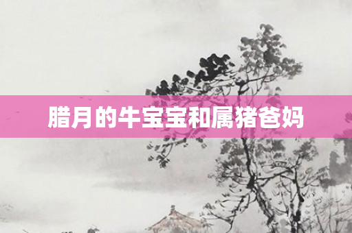 腊月的牛宝宝和属猪爸妈